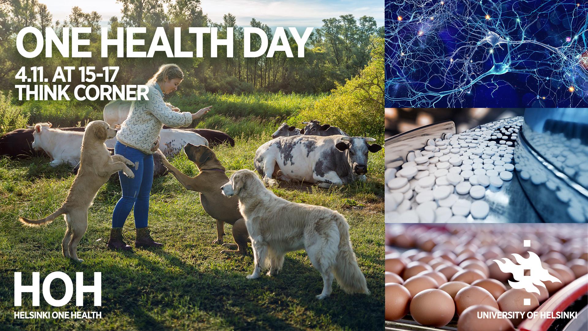 One Health Day at Think Corner