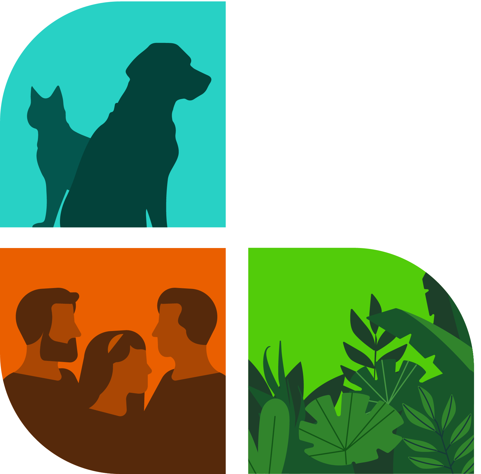 Saúde Única:  Impactos da emergências climáticas e atuação nas comunidades- Impacts-climate emergencies