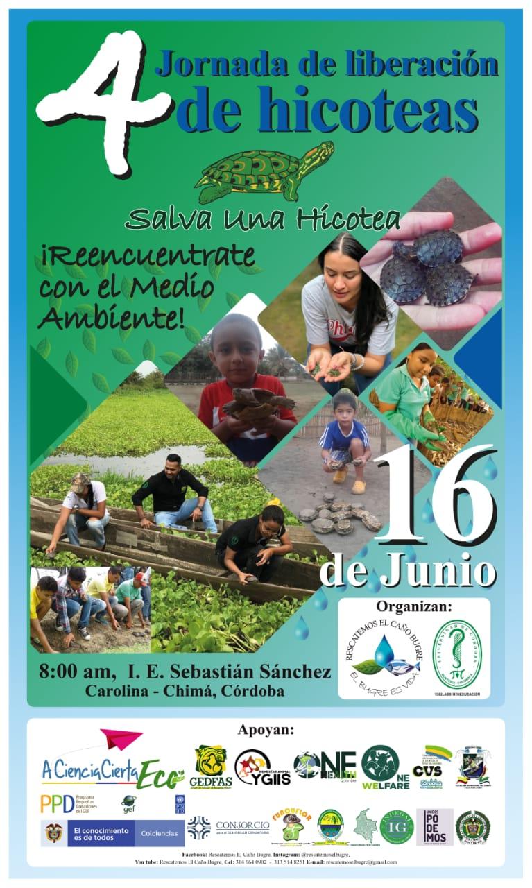 4ta JORNADA DE LIBERACIÓN DE HICOTEAS