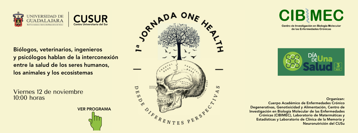 First dissemination session One Health, from Different Perspectives