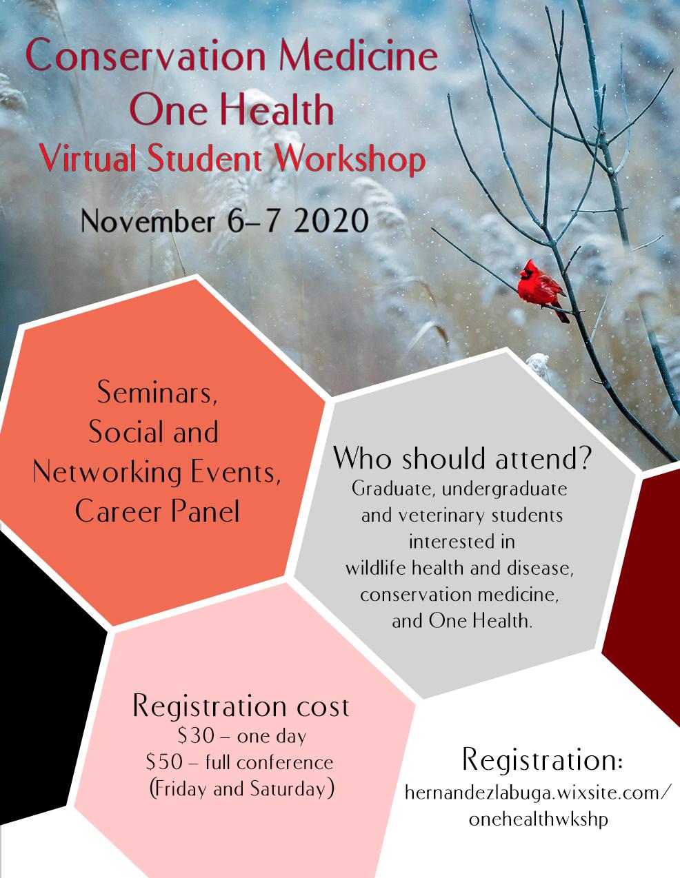 Conservation Medicine One Health Virtual Student Workshop