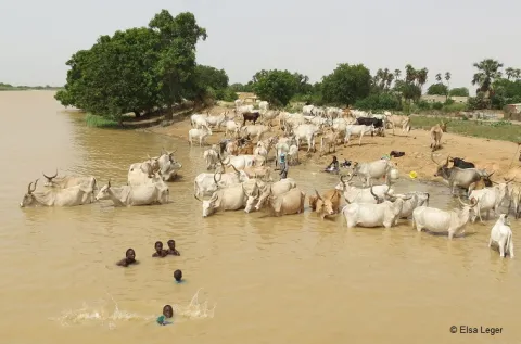 Adriana Thursby-Pelham Adriana Thursby-Pelham