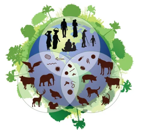 Interactions between wildlife and domestic animals: Consequences for Human Health Interactions between wildlife and domestic animals: Consequences for Human Health