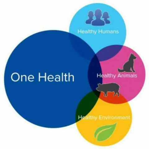 INTERNATIONAL ONE HEALTH DAY INTERNATIONAL ONE HEALTH DAY