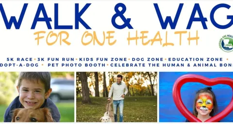 Walk & Wag for One Health
