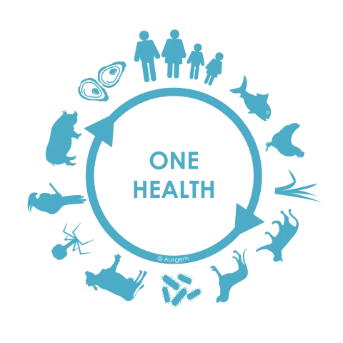 Why we need a One Health approach for the surveillance of drug-resistant bacteria Why we need a One Health approach for the surveillance of drug-resistant bacteria