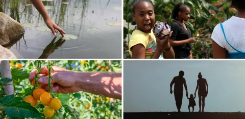 One Health One Planet One Health One Planet