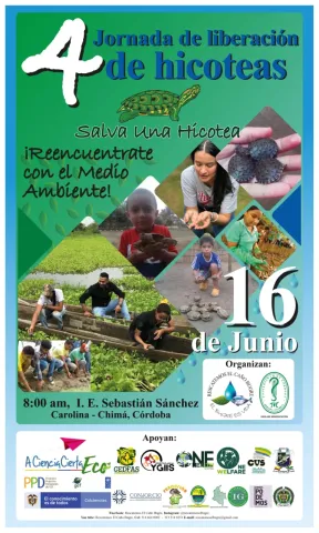 4ta JORNADA DE LIBERACIÓN DE HICOTEAS 4ta JORNADA DE LIBERACIÓN DE HICOTEAS