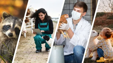 University of Guelph Centre for Public Health and Zoonoses (CPHAZ) Symposium 2024 on One Health, Public Health & Vet Med Topics University of Guelph Centre for Public Health and Zoonoses (CPHAZ) Symposium 2024 on One Health, Public Health & Vet Med Topics