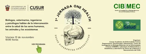 First dissemination session One Health, from Different Perspectives First dissemination session One Health, from Different Perspectives
