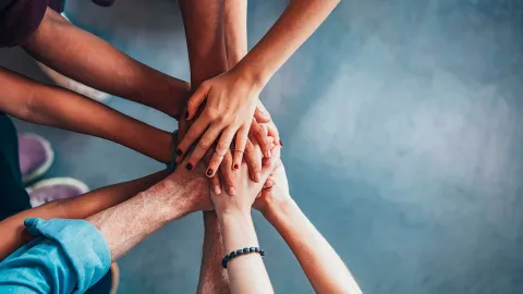 1st Post-graduate course on One Health - Human health, Animal health, Environmental health 1st Post-graduate course on One Health - Human health, Animal health, Environmental health