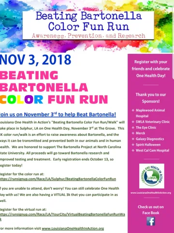 Beating Bartonella Color Run Beating Bartonella Color Run