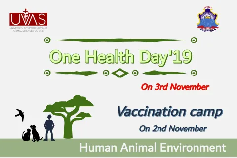 One Health day- Vaccination and Treatment Camp  One Health day- Vaccination and Treatment Camp
